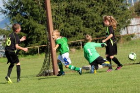 九游下载安装-体育新闻中心特别快讯播报，体育新闻最新快报